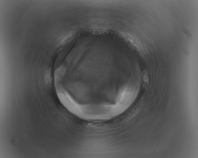 X0000116451252200912291940