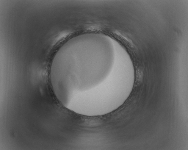 X0000116451254200912291940
