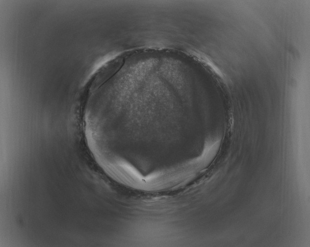 X0000116451256200912291940