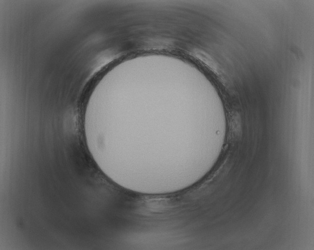 X0000116451258200912291940