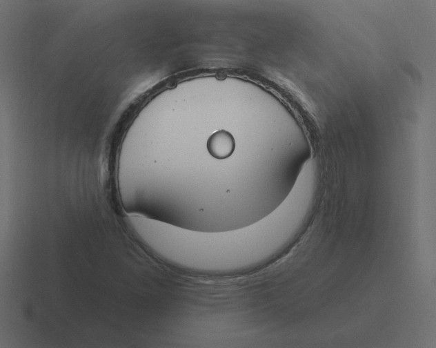 X0000116451261200912291940