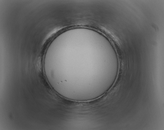 X0000116451262200912291940