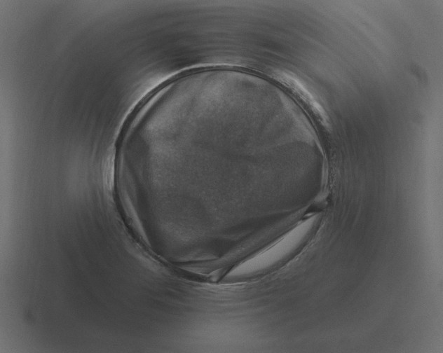 X0000116451276200912291940