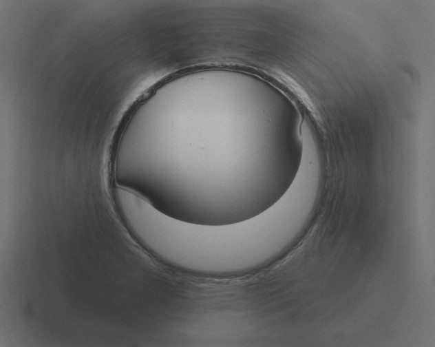 X0000116451277200912291940