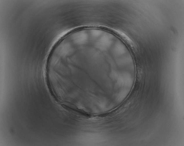 X0000116451279200912291940
