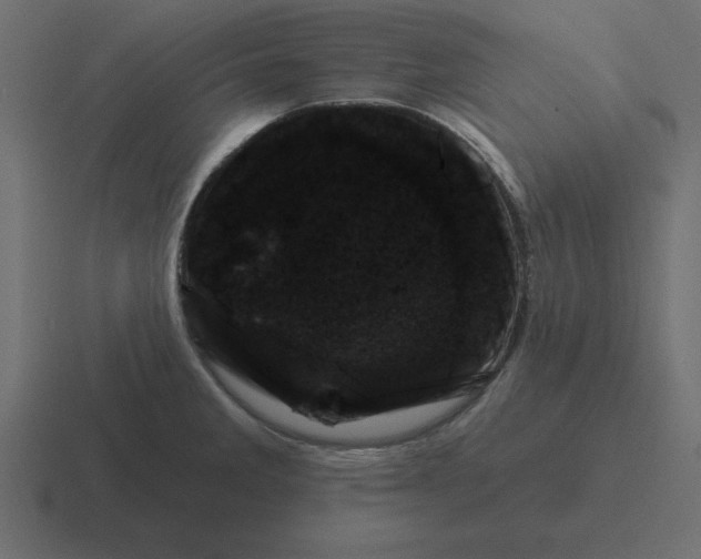 X0000116451285200912291940