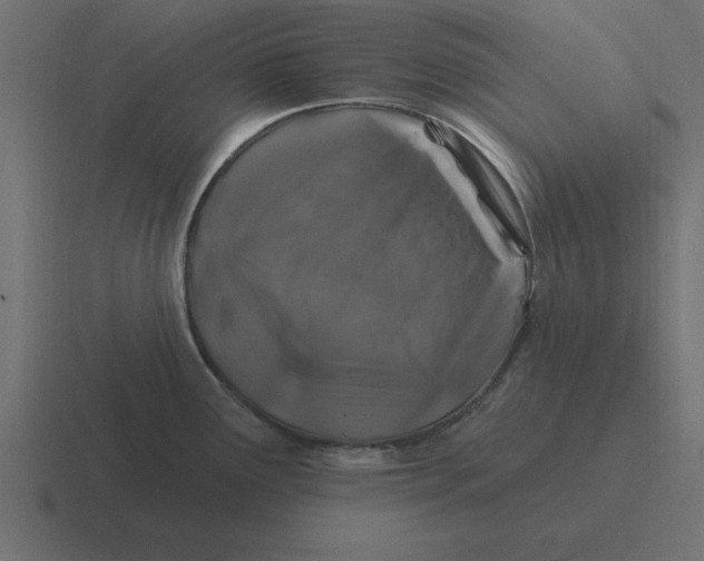X0000116451291200912291940