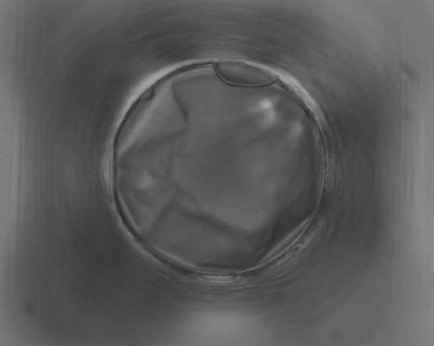 X0000116451295200912291940
