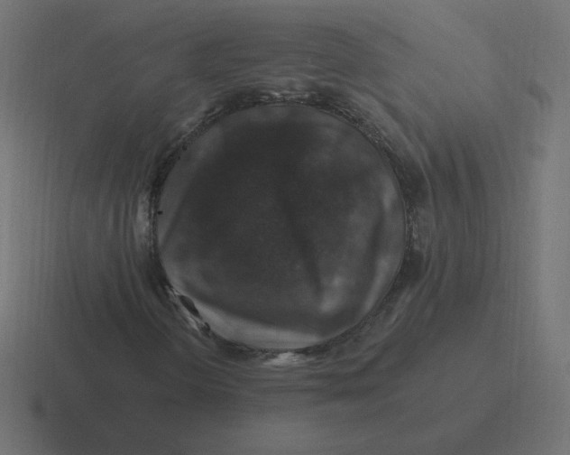 X0000116451298200912291939