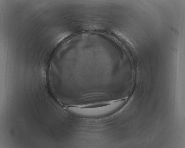 X0000116451305200912291939