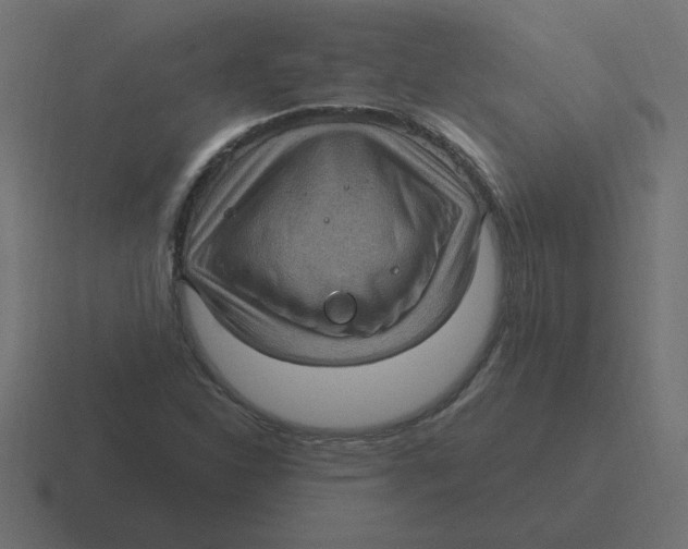 X0000116451310200912291939
