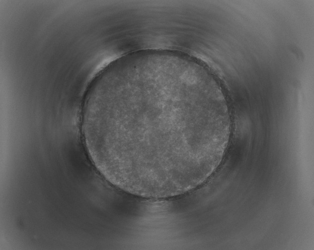 X0000116451314200912291940