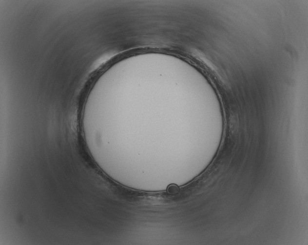 X0000116451315200912291940