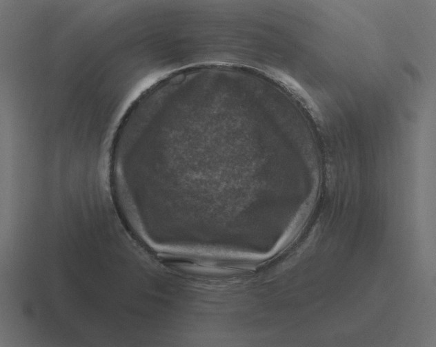 X0000116451326200912291940