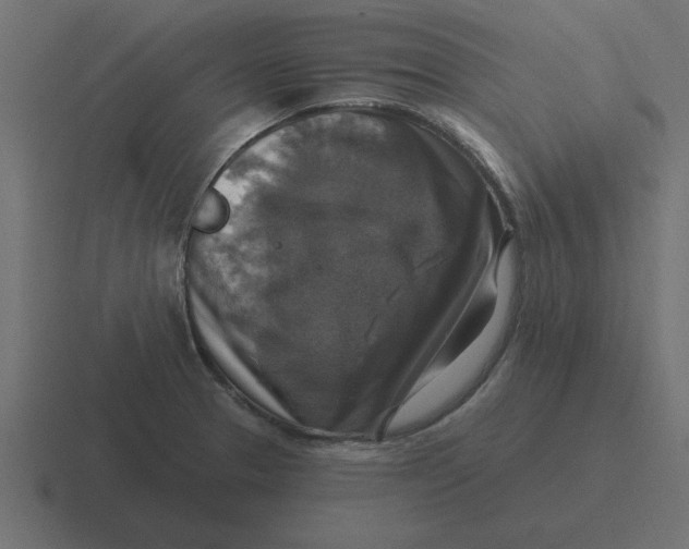 X0000116451329200912291940