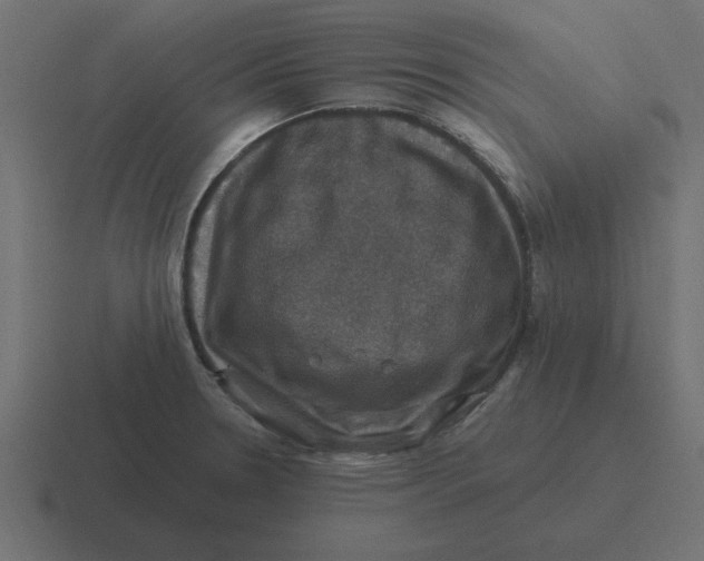 X0000116451330200912291940