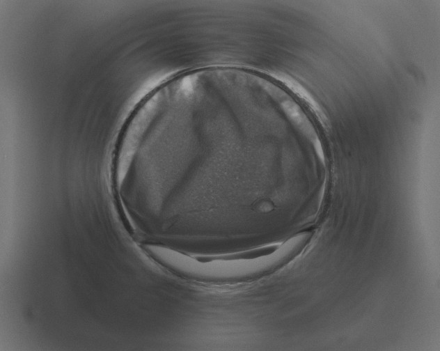 X0000116451333200912291940