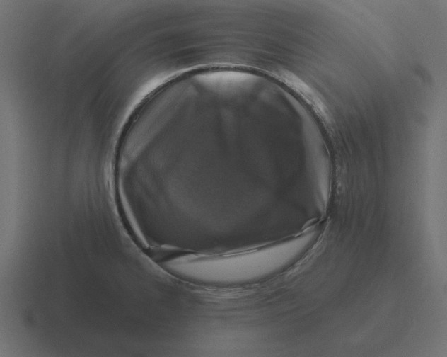 X0000116451334200912291940