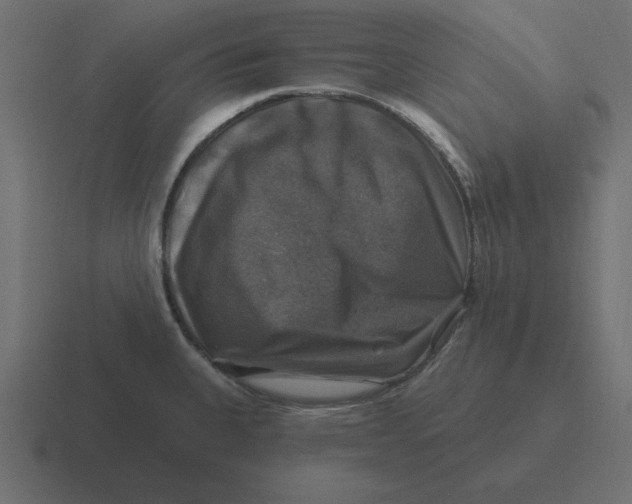 X0000116451335200912291940
