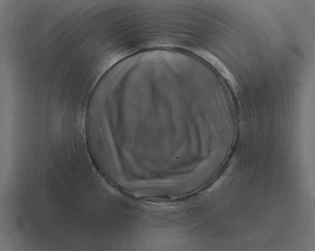 X0000116451337200912291940