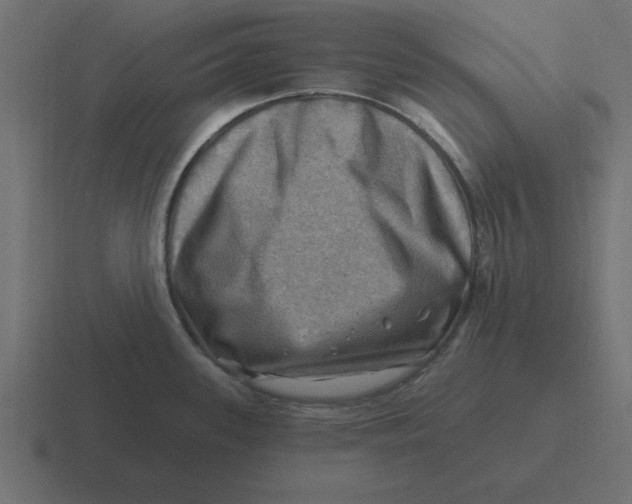 X0000116451339200912291940