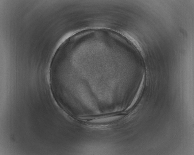 X0000116451342200912291940