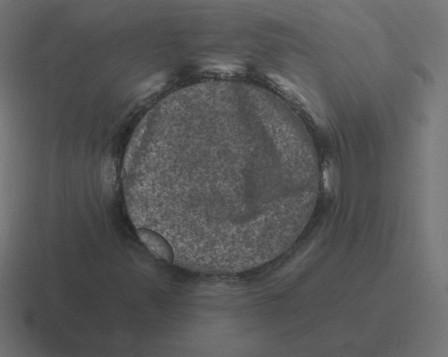 X0000116451347200912291939