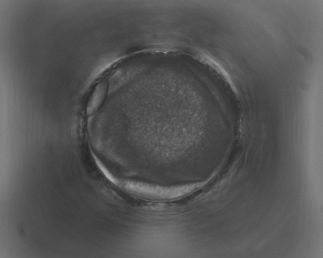 X0000116451352200912291939