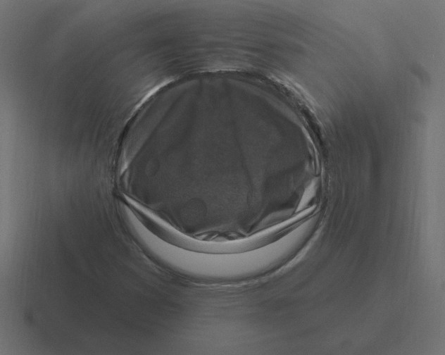 X0000116451353200912291939