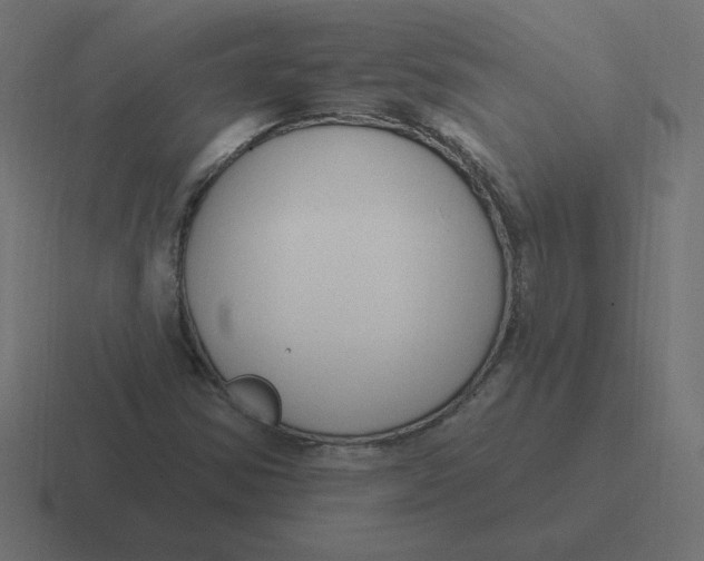 X0000116451354200912291939