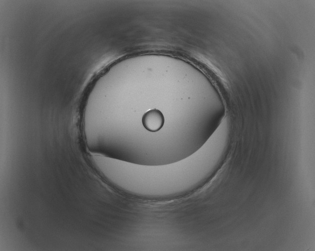 X0000116451357200912291939