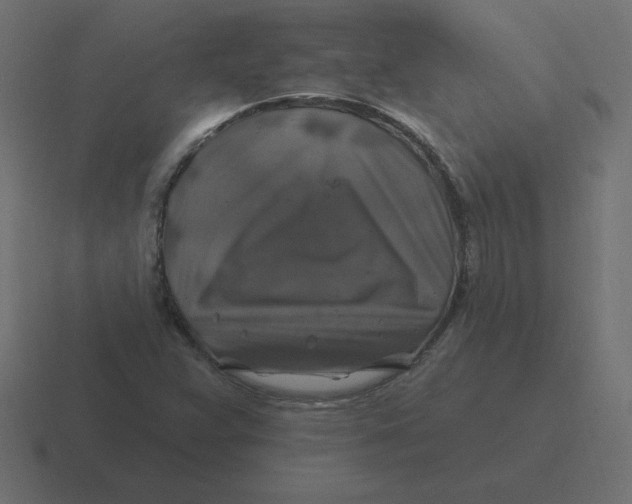 X0000116451359200912291939
