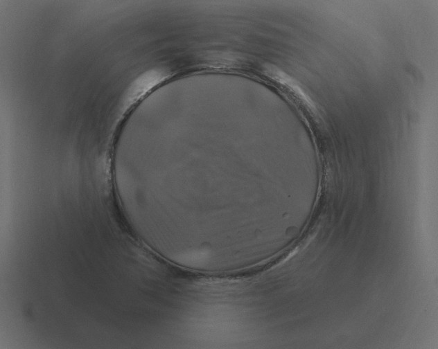 X0000116451362200912291939