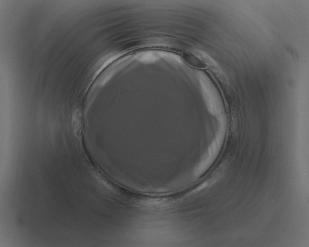 X0000116451369200912291939