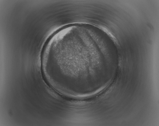 X0000116451372200912291939