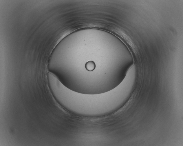 X0000116451377200912291939