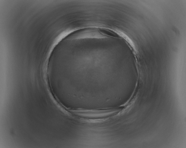 X0000116451381200912291939