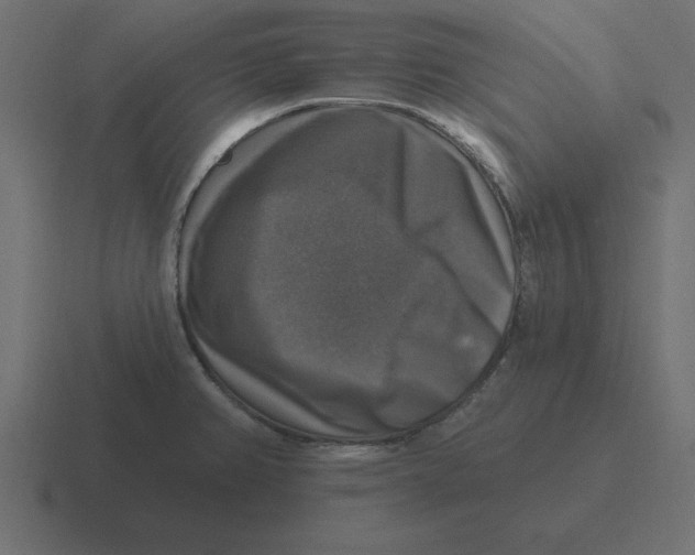X0000116451382200912291939