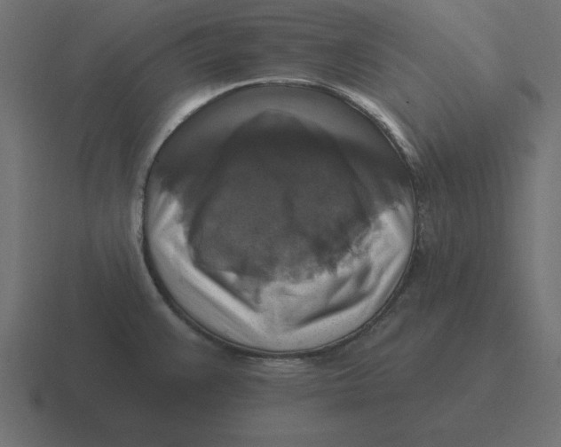 X0000116451383200912291939
