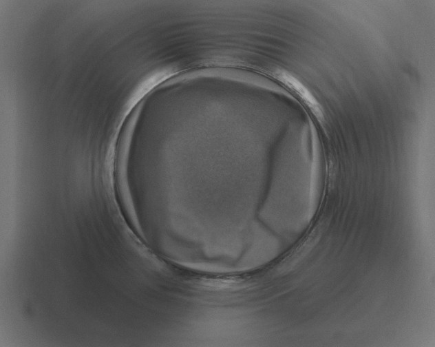 X0000116451386200912291939