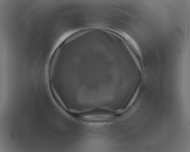 X0000116451389200912291939