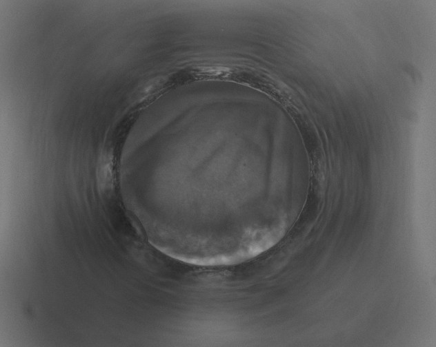 X0000116451394200912291938