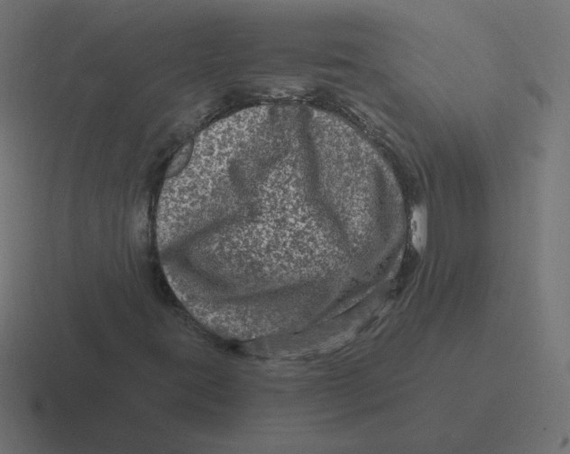 X0000116451395200912291938