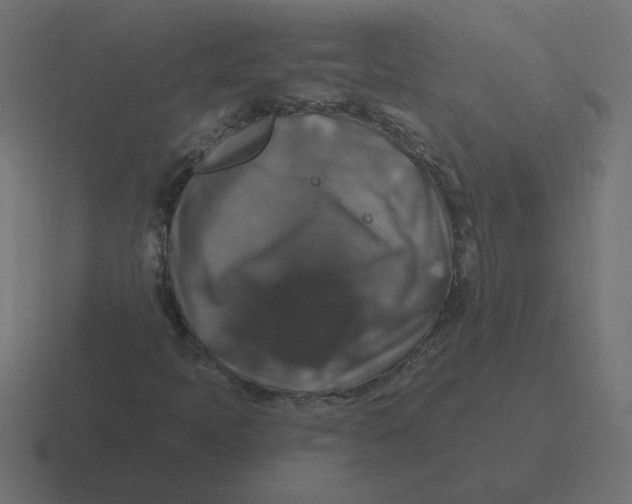 X0000116451397200912291938