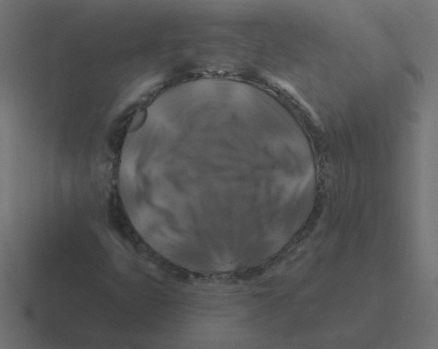 X0000116451399200912291938