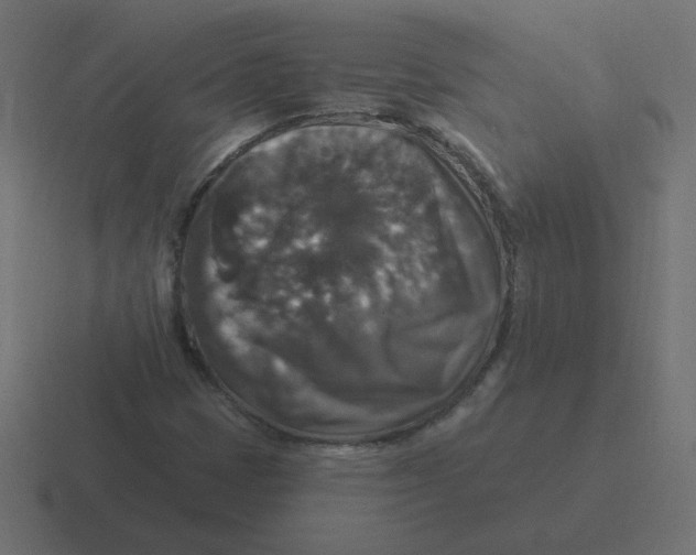 X0000116451401200912291938