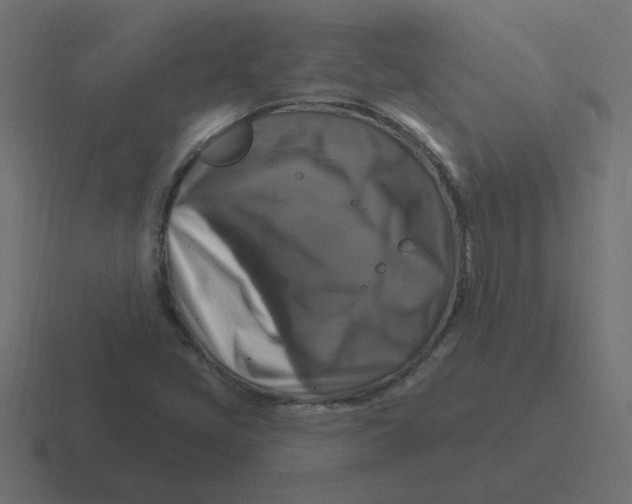 X0000116451405200912291938