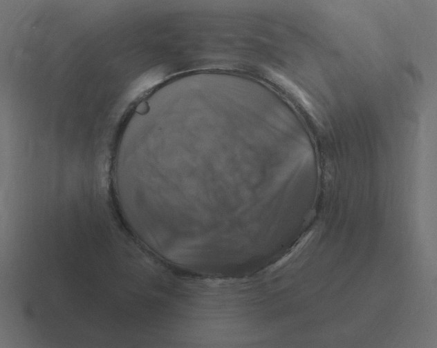 X0000116451411200912291938