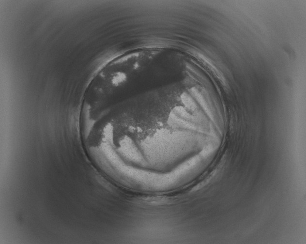 X0000116451417200912291938