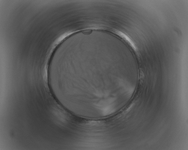 X0000116451419200912291938